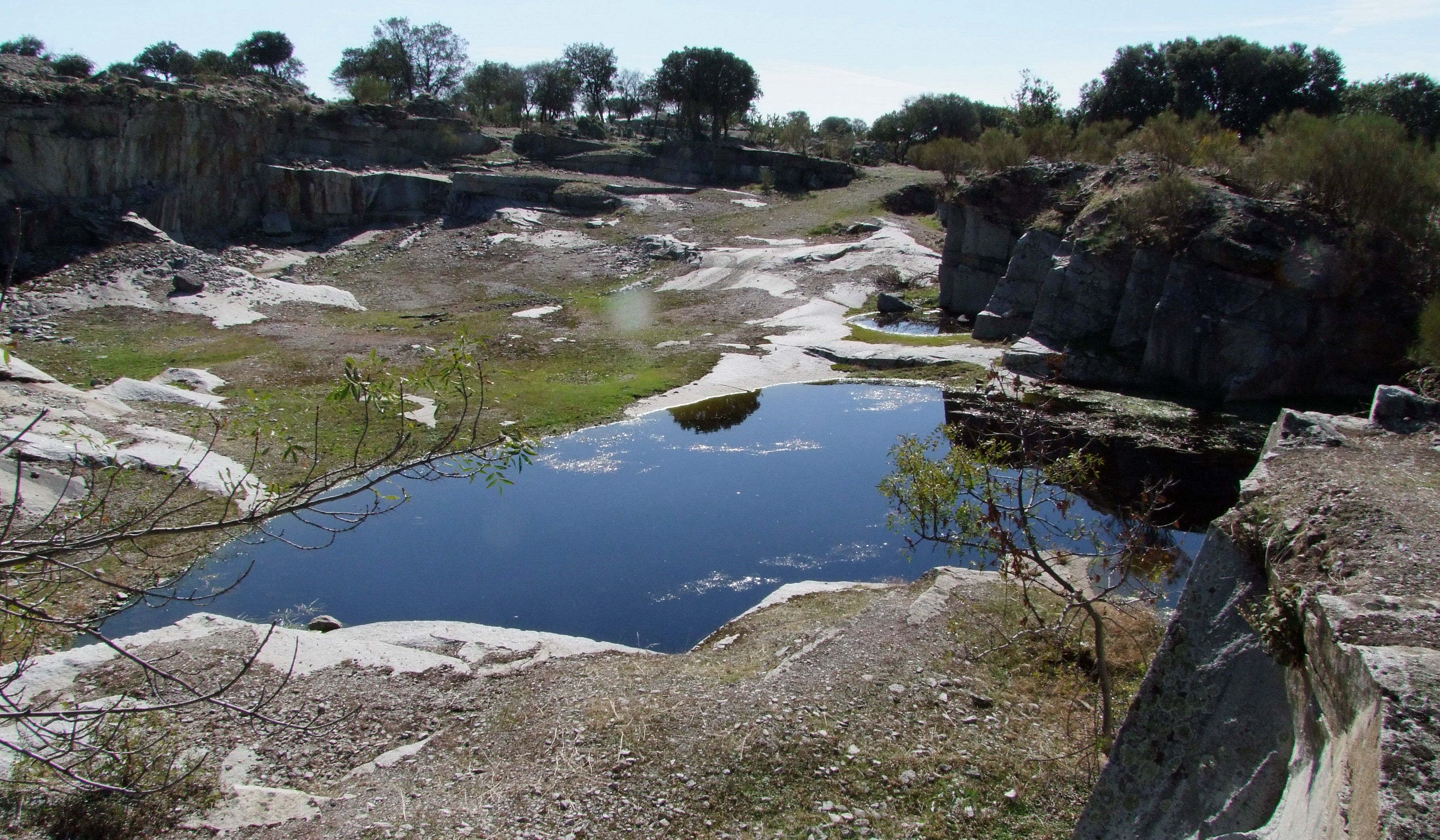 Las antiguas canteras inundadas de Alpedrete constituyen un hábitat de importancia para los anfibios de la Comunidad de Madrid