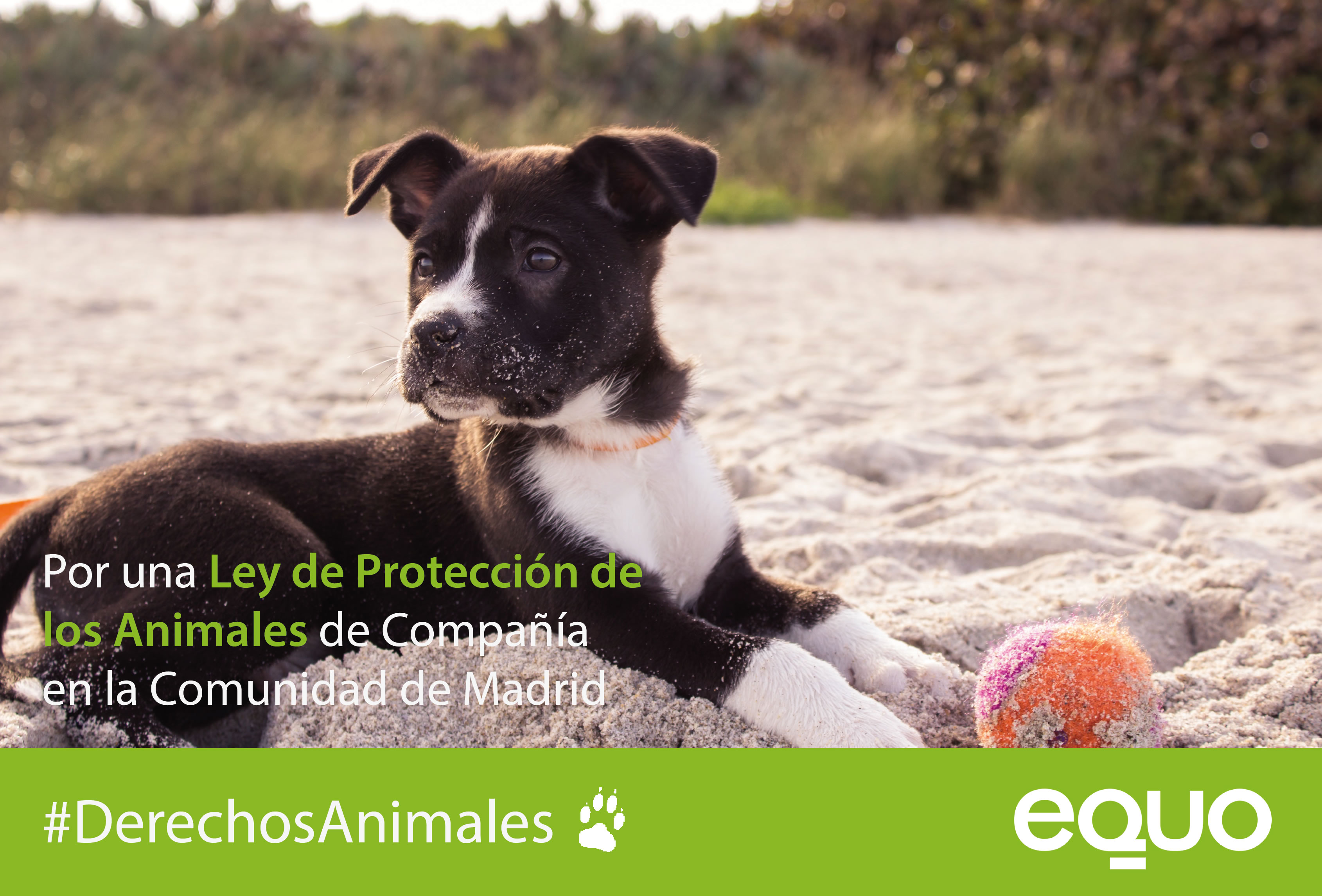 derechos_animales4