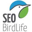 Seo Bird Life